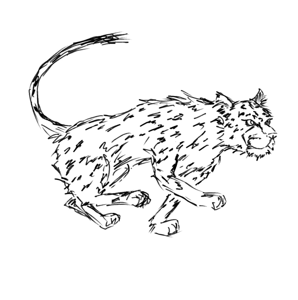 走るチーター