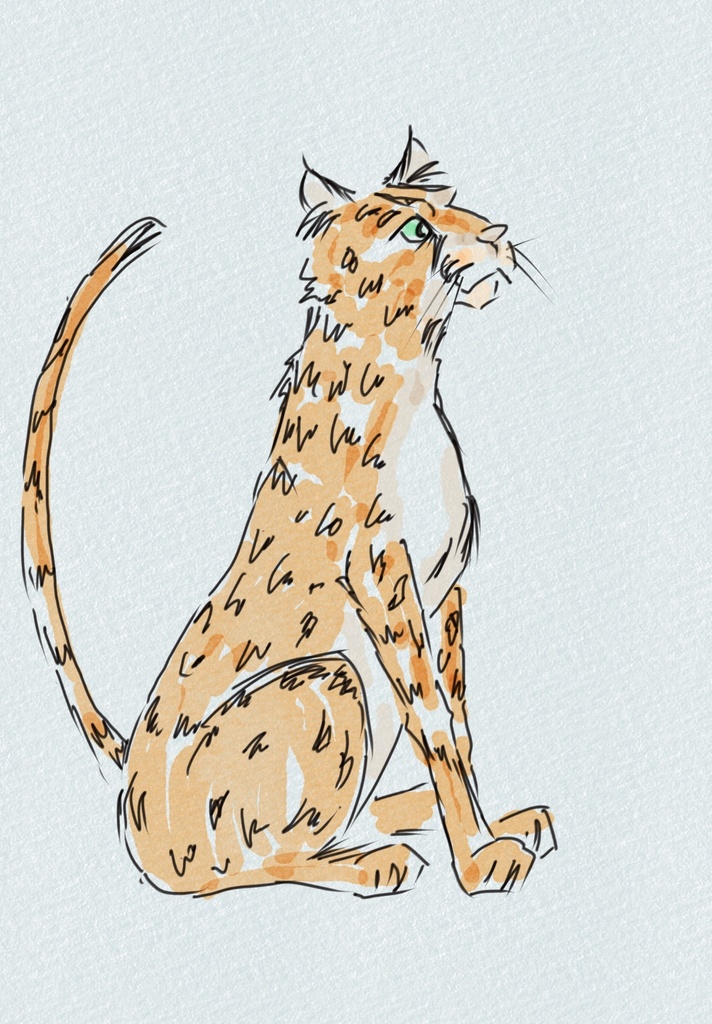 澄まし顔のおすわりチーター