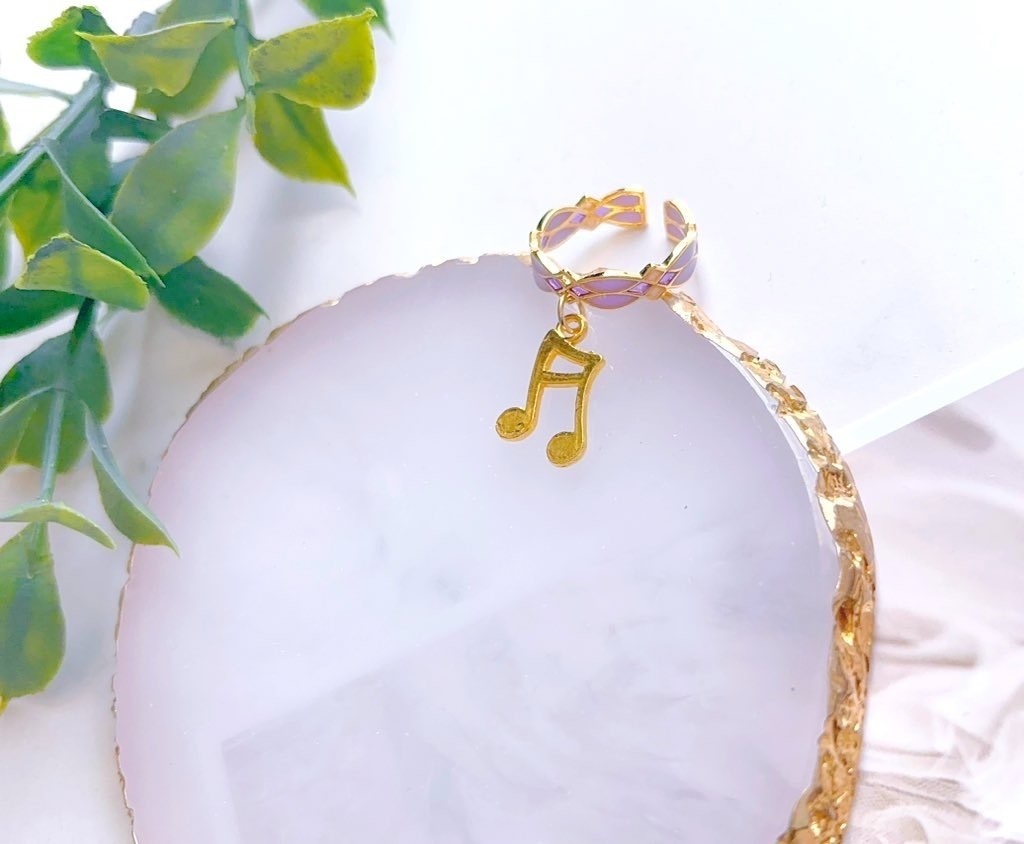 【崩スタ】イメージリング