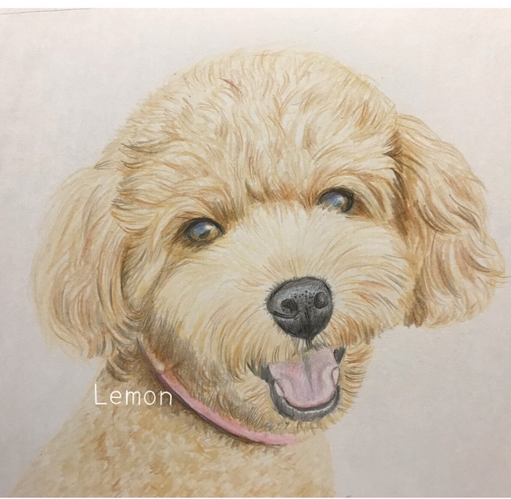 犬の似顔絵 色鉛筆 Shop Lemon Booth