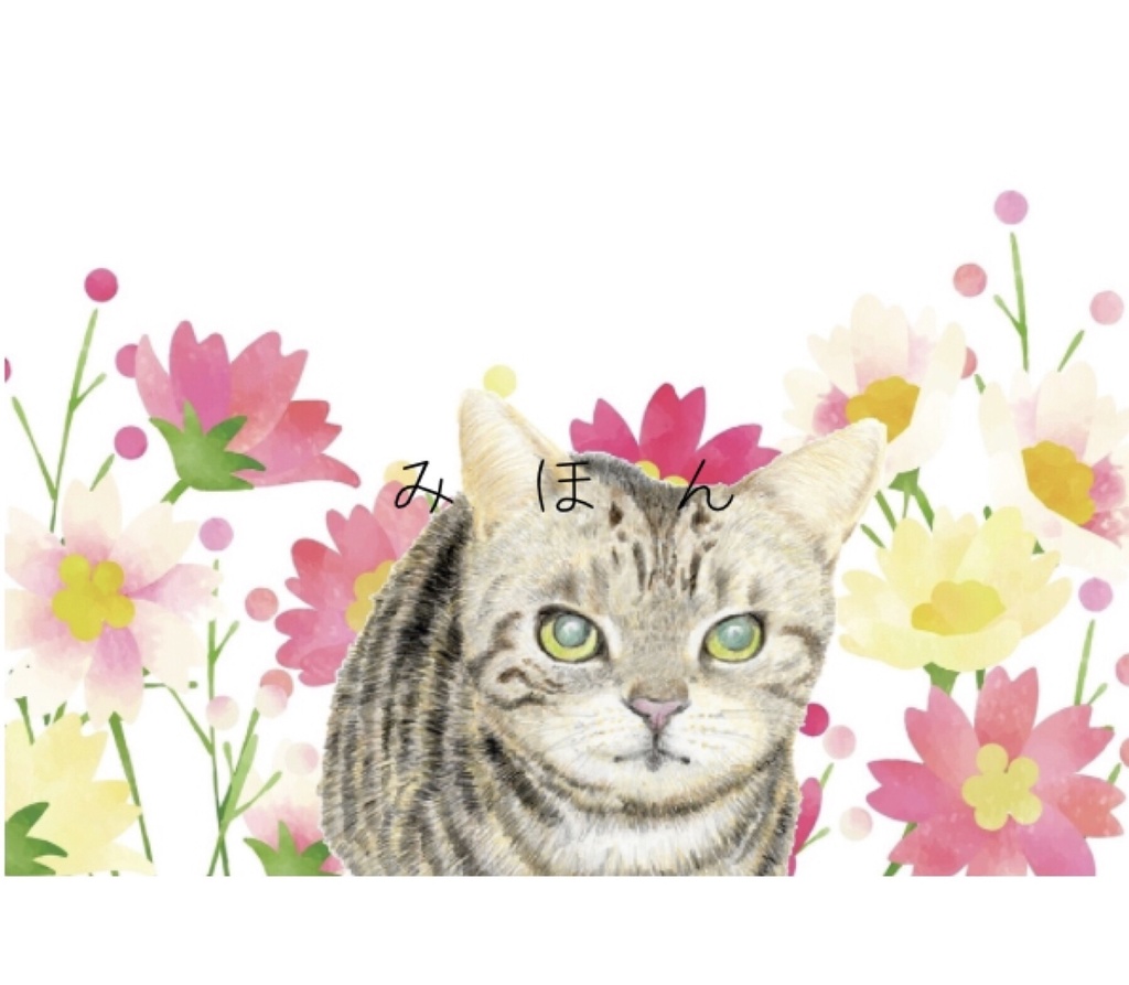 絵はがき【フラワーフィールド】猫