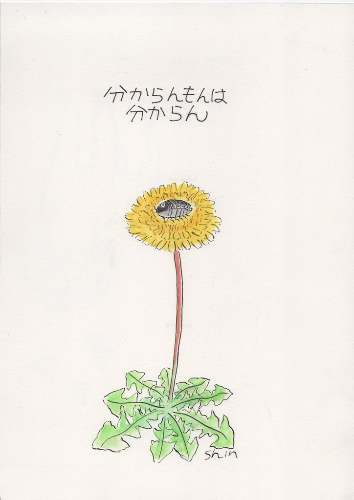 ダンゴ先輩壁紙VOL.9「分からんもんは分からん」