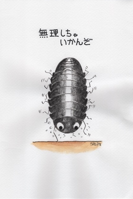 ダンゴ先輩壁紙VOL.11「無理しちゃいかんぞ」