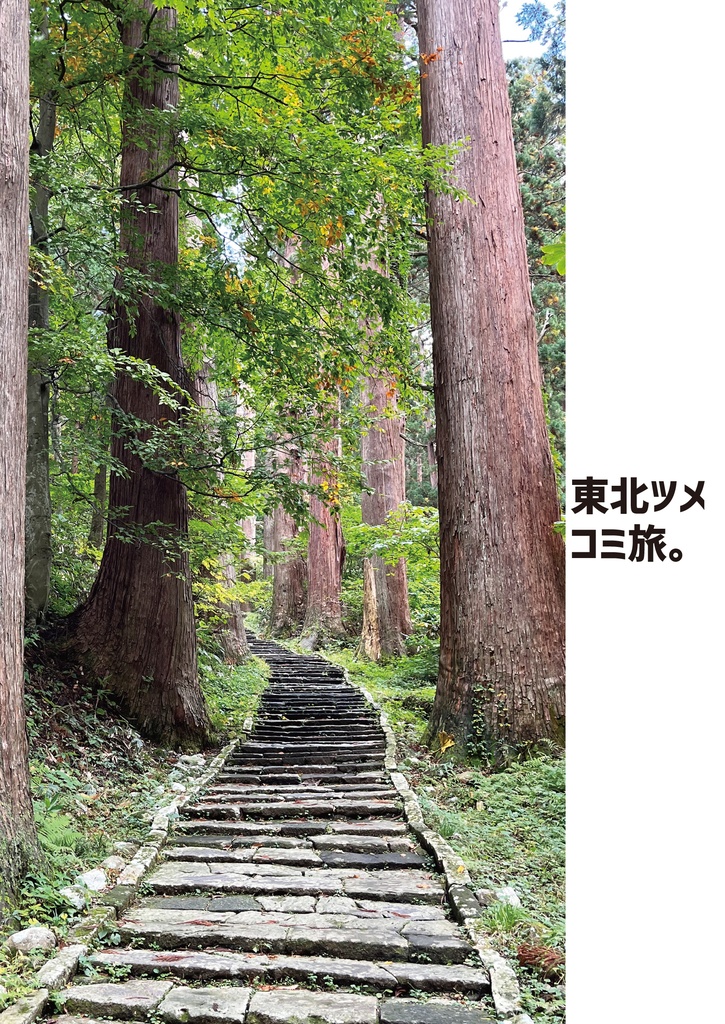 東北ツメコミ旅。