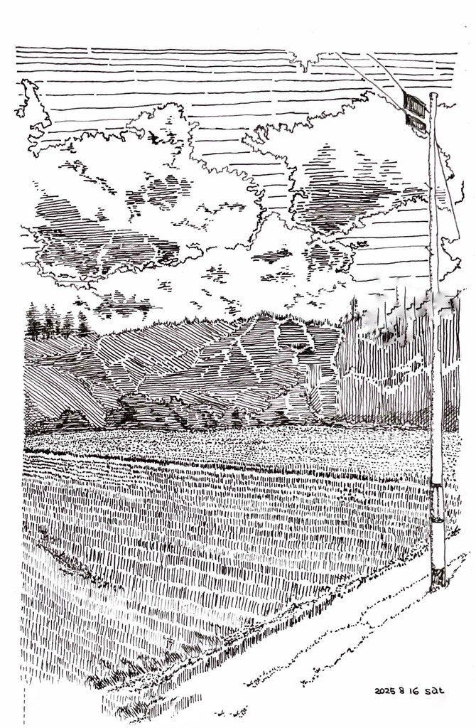 Rice Field in Ono, Fukushima — Pen Hatching Drawing