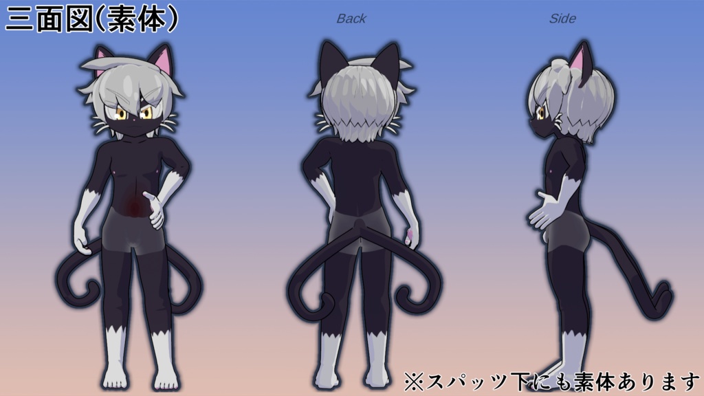 ルネ・アドバンスV2 / Lune advance V2【VRC想定3Dアバター】