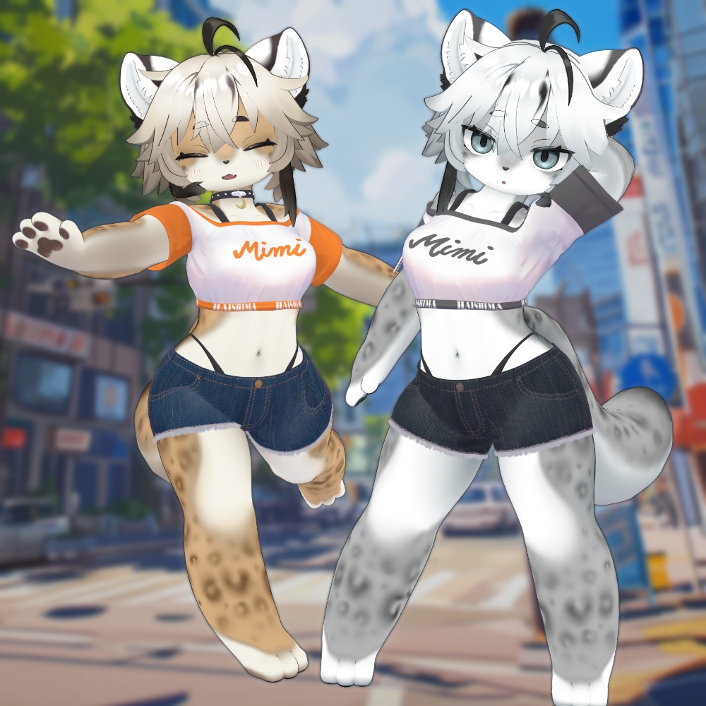 シティカジュアル【ミルティ・レディムーン・灰島】