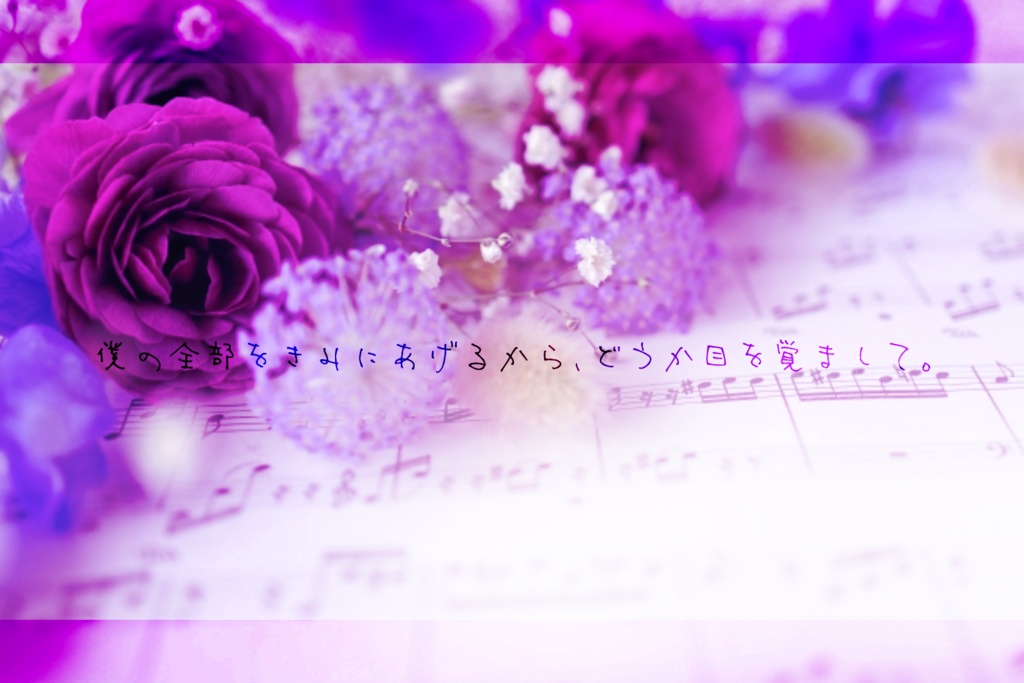 きみに捧げるラナンキュラス