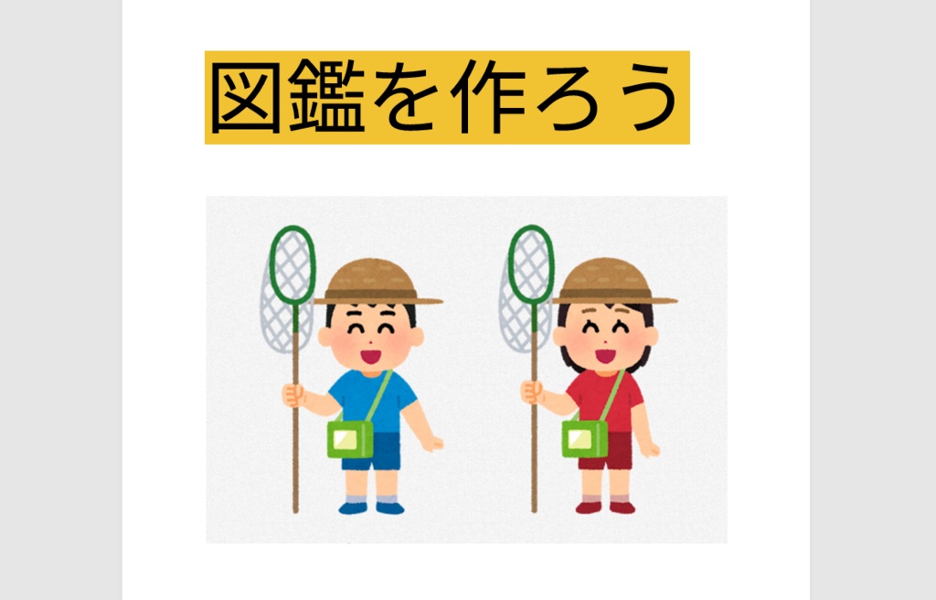 図鑑を作ろう