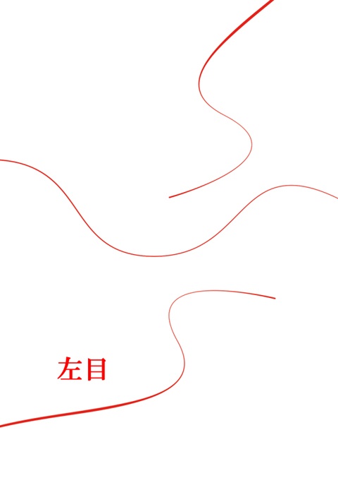 【ホンイサ】左目