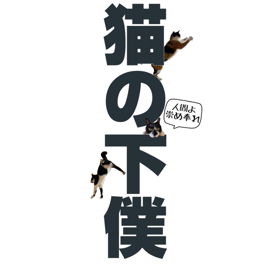 人間は猫の下僕だ