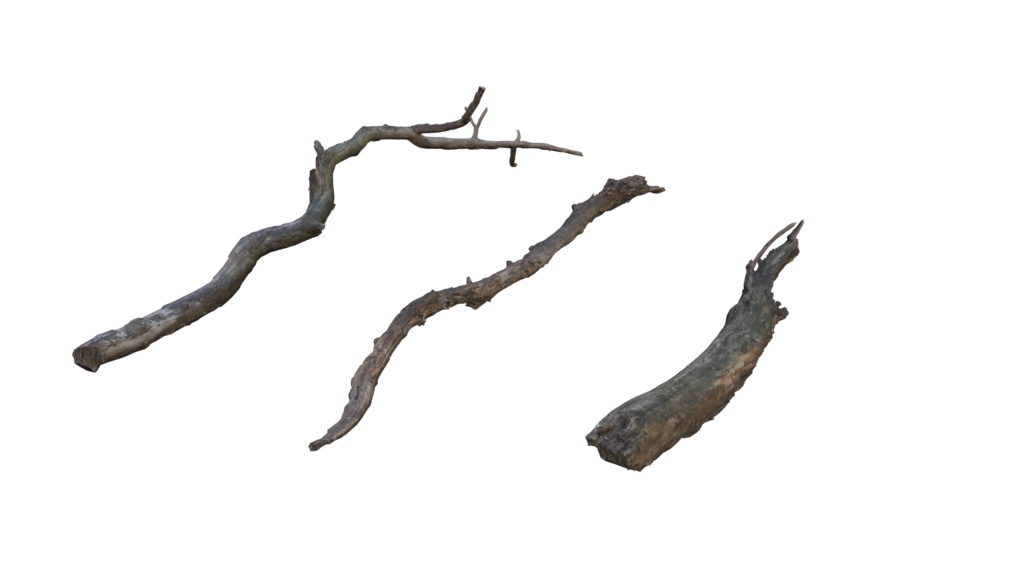 枝(dry_branch)
