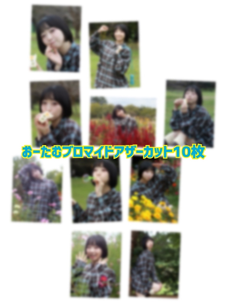 おーたむブロマイドアザーカットデータ10枚