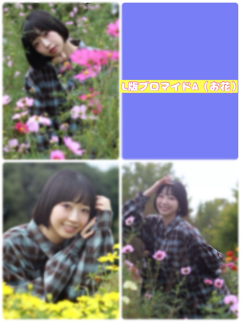 11月⭐︎おーたむL版ブロマイドA