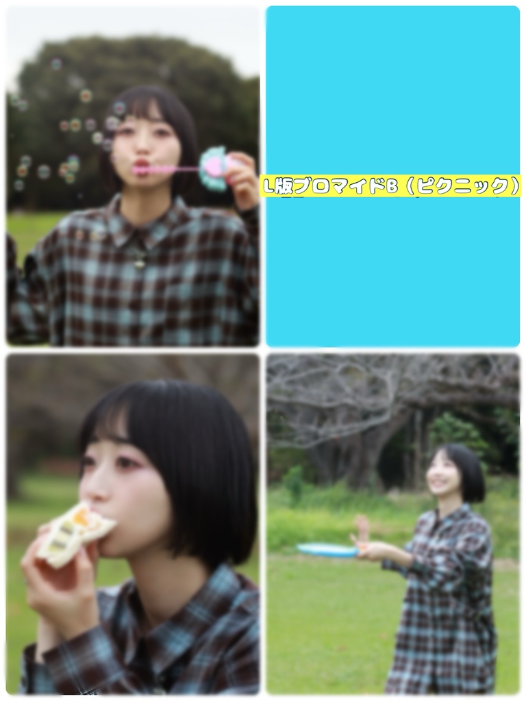 11月⭐︎おーたむブロマイドB（ピクニック）