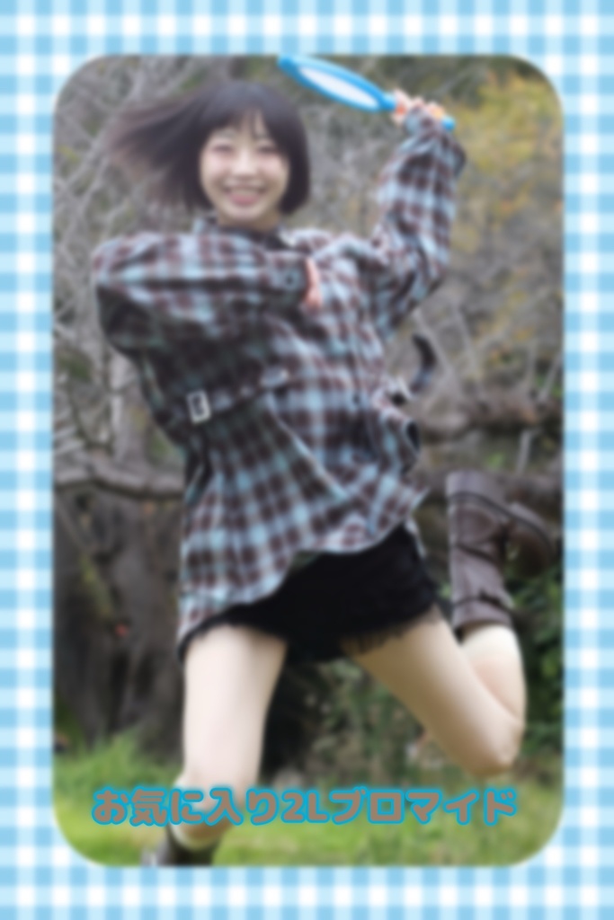 11月お気に入り2Lブロマイド