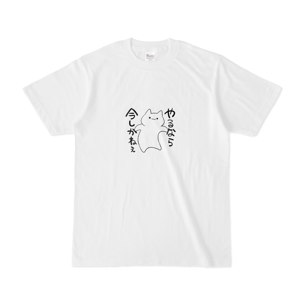 やるなら今しかねぇ猫