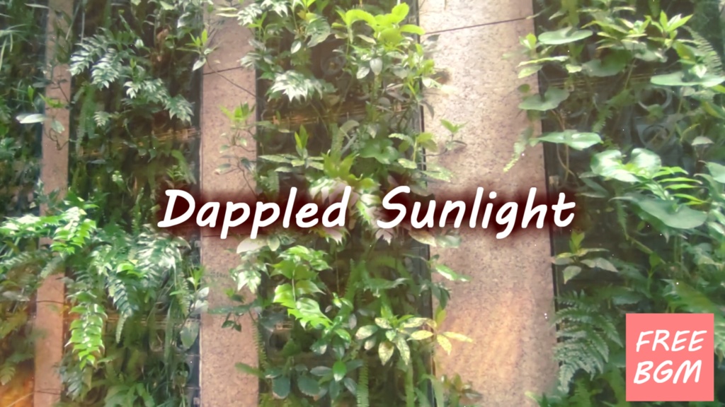 【フリーBGM】Dappled Sunlight