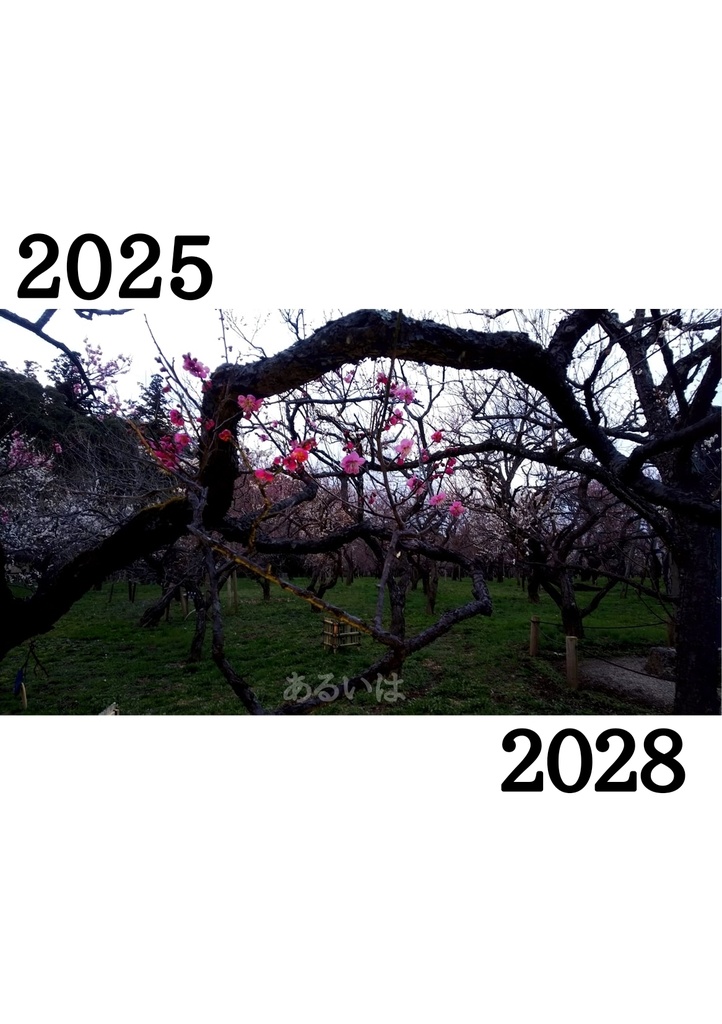 2025あるいは2028