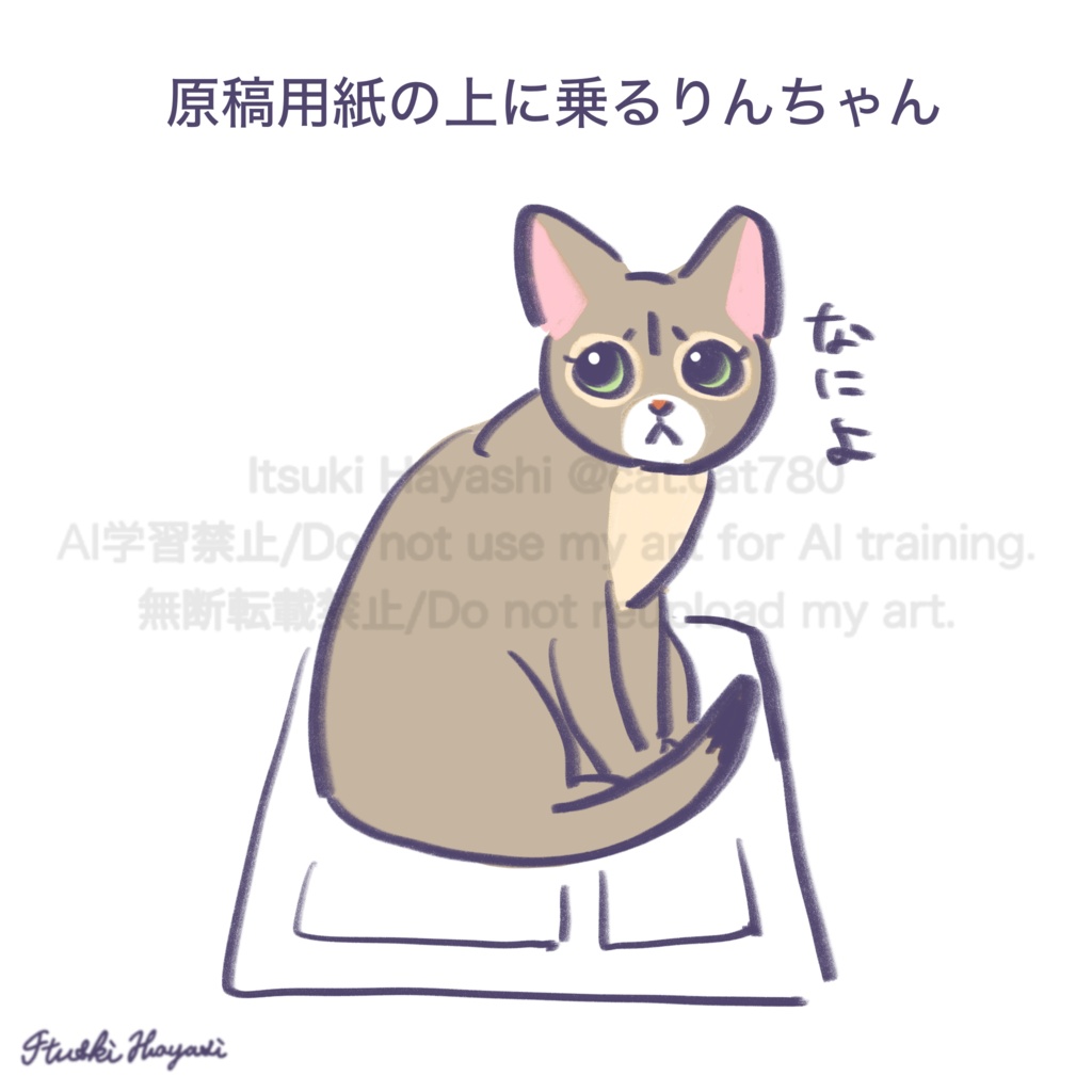 世界一わたしを愛したねこ