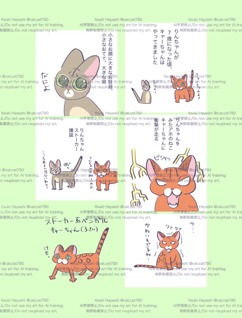 【通常版】世界一私を愛したねこ