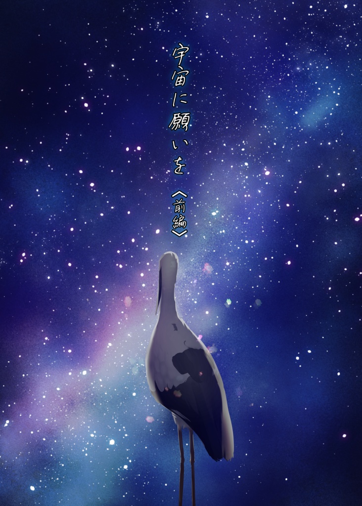 宇宙に願いを【DL版】