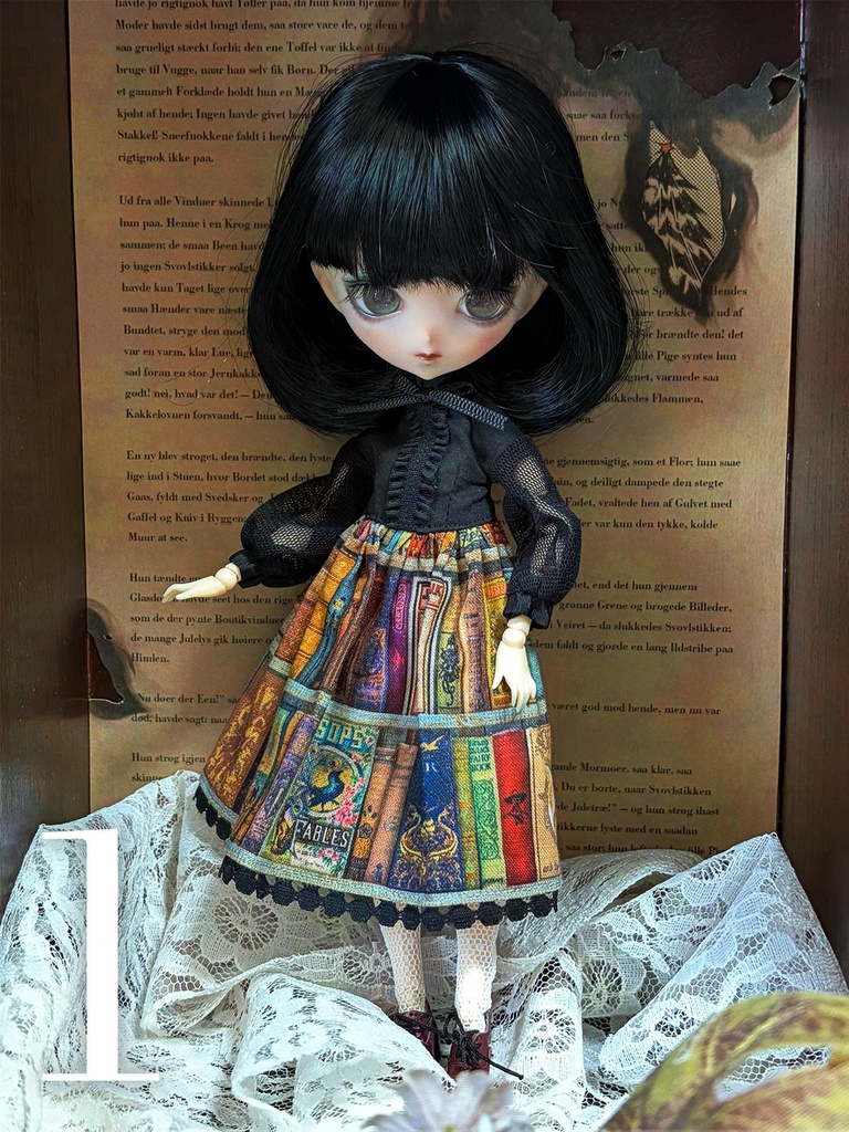 図書館ワンピース(2026.01)