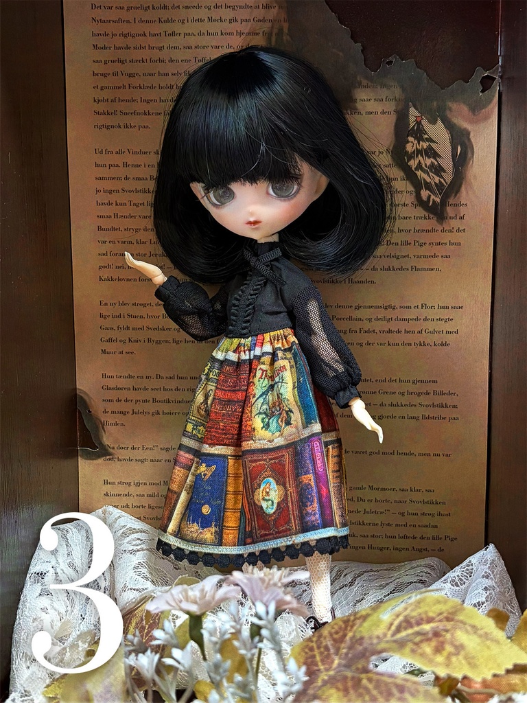 図書館ワンピース(2026.01)