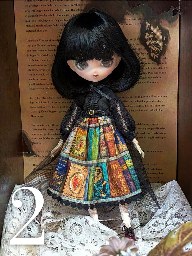 図書館ワンピース(2026.01)