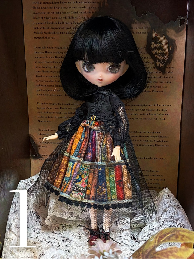 図書館ワンピース(2026.01)