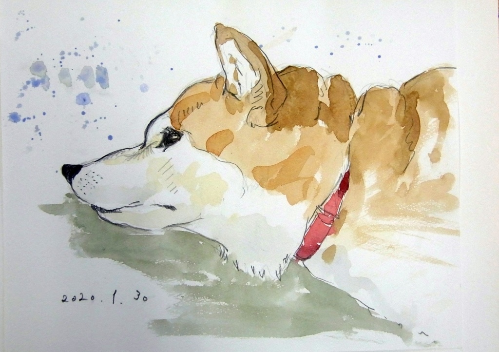 犬の絵 鉛筆画 - 絵画