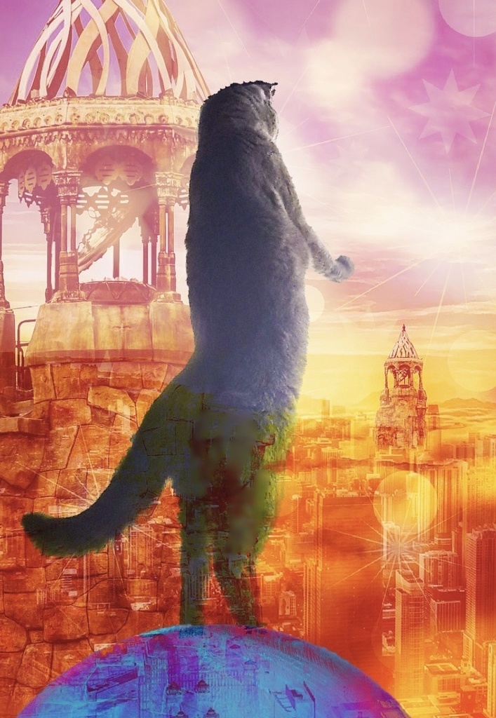 NO猫背Tシャツ【文字無し】