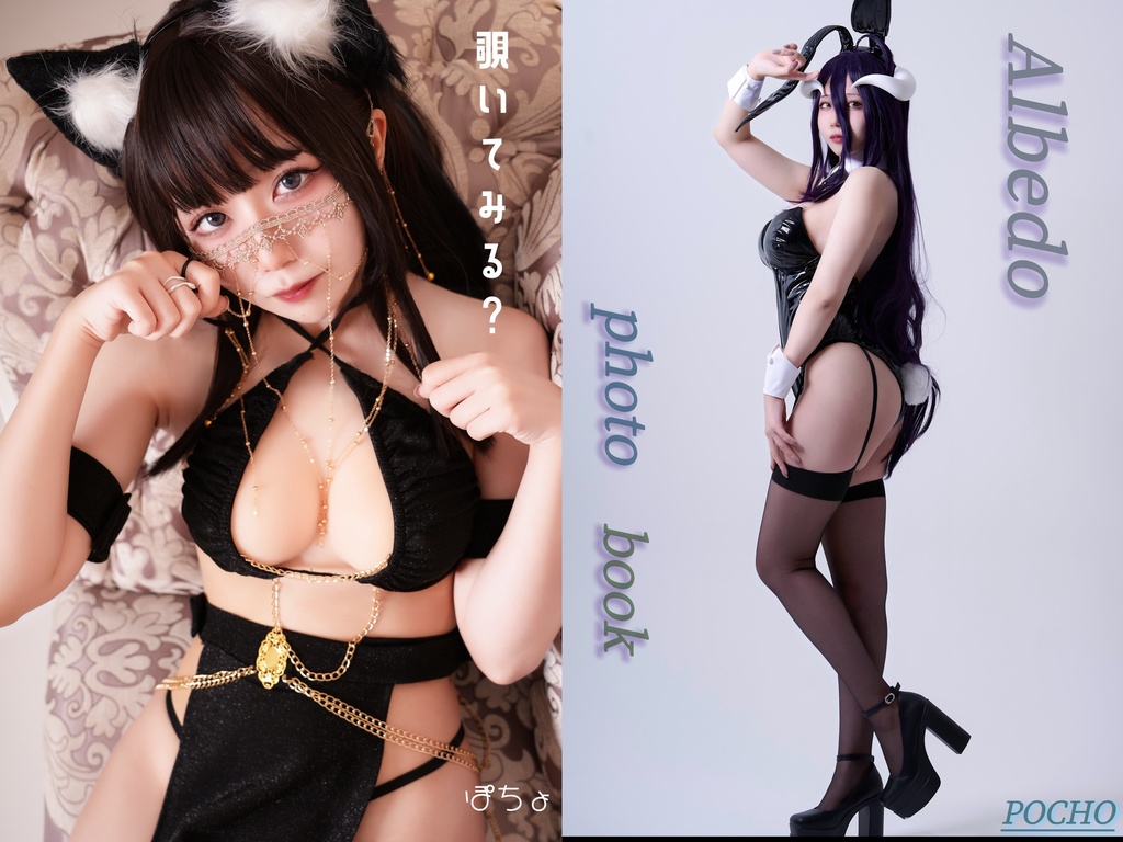 お得‼️【セット】アルベド写真集×創作写真集