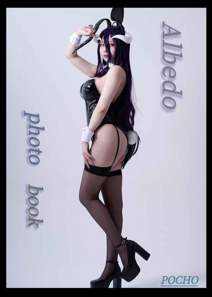 アルベド写真集(単体)