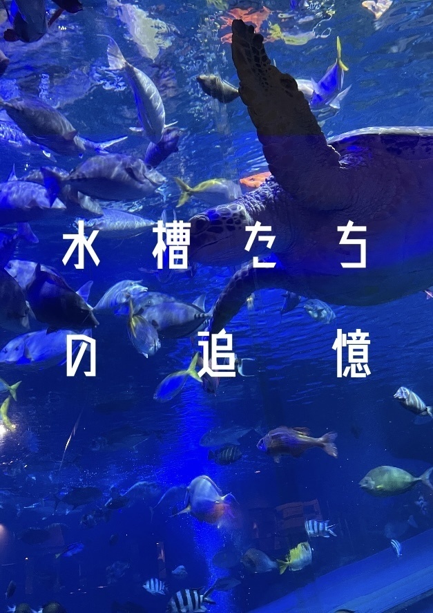 水槽たちの追憶