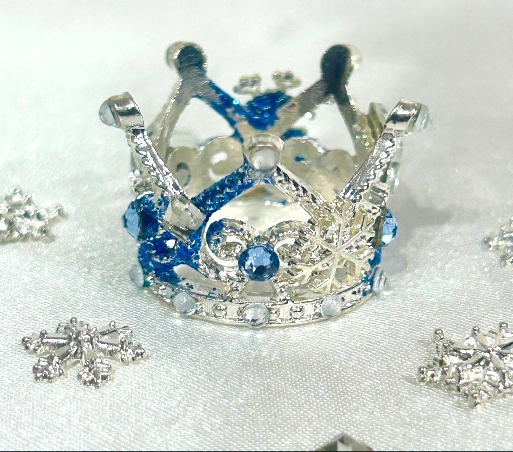 👑スノーモチーフ👑