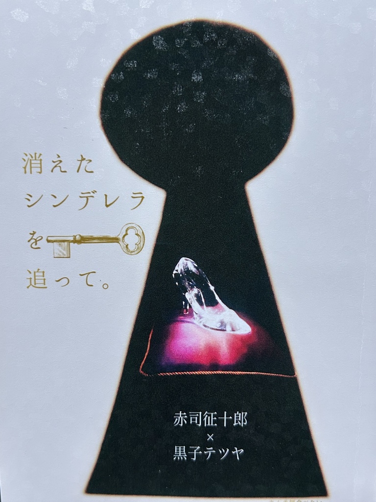 消えたシンデレラを追って。