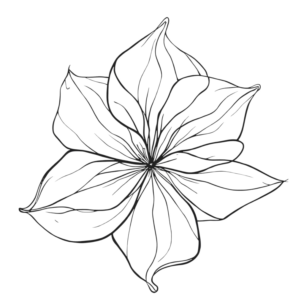 シンプルフラワーラインアート 8PNG /背景透過済/商用可・表示のみPDF