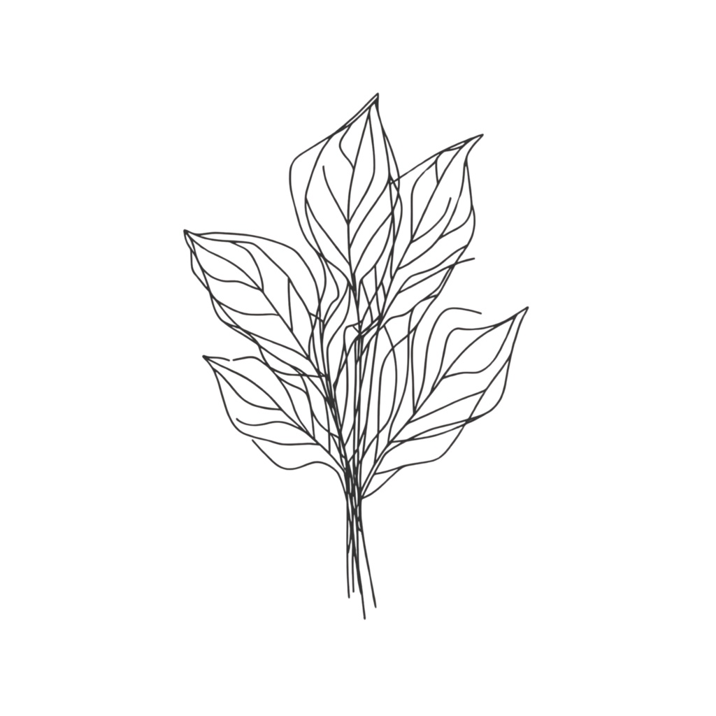 シンプルフラワーラインアート 8PNG /背景透過済/商用可・表示のみPDF