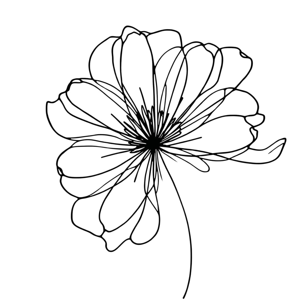 シンプルフラワーラインアート 8PNG /背景透過済/商用可・表示のみPDF