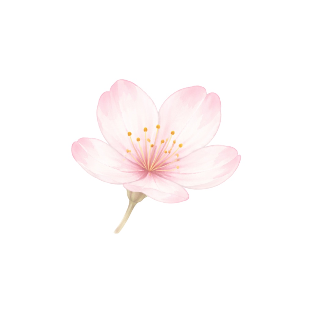 さくら水彩クリップアート素材|春の和スイーツ&桜イラスト|PNG20点|3000px|Canvaテンプレート Sakura Watercolor Clip Art Set | Cherry Blossom & Spring Sweets | 20 PNG | 3000px | Canva Template