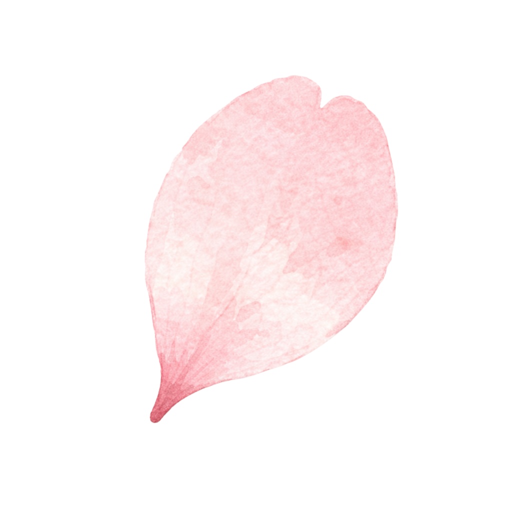 さくら水彩クリップアート素材|春の和スイーツ&桜イラスト|PNG20点|3000px|Canvaテンプレート Sakura Watercolor Clip Art Set | Cherry Blossom & Spring Sweets | 20 PNG | 3000px | Canva Template