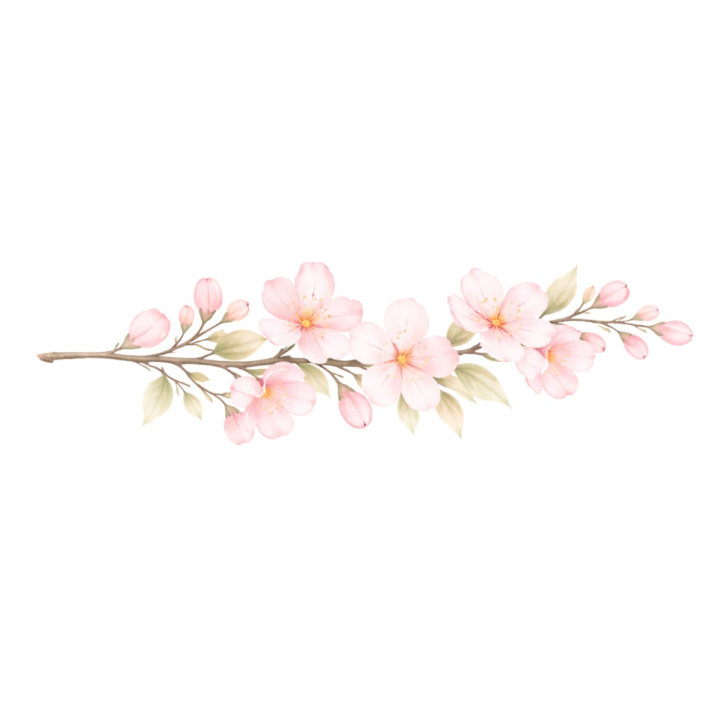 さくら水彩クリップアート素材|春の和スイーツ&桜イラスト|PNG20点|3000px|Canvaテンプレート Sakura Watercolor Clip Art Set | Cherry Blossom & Spring Sweets | 20 PNG | 3000px | Canva Template