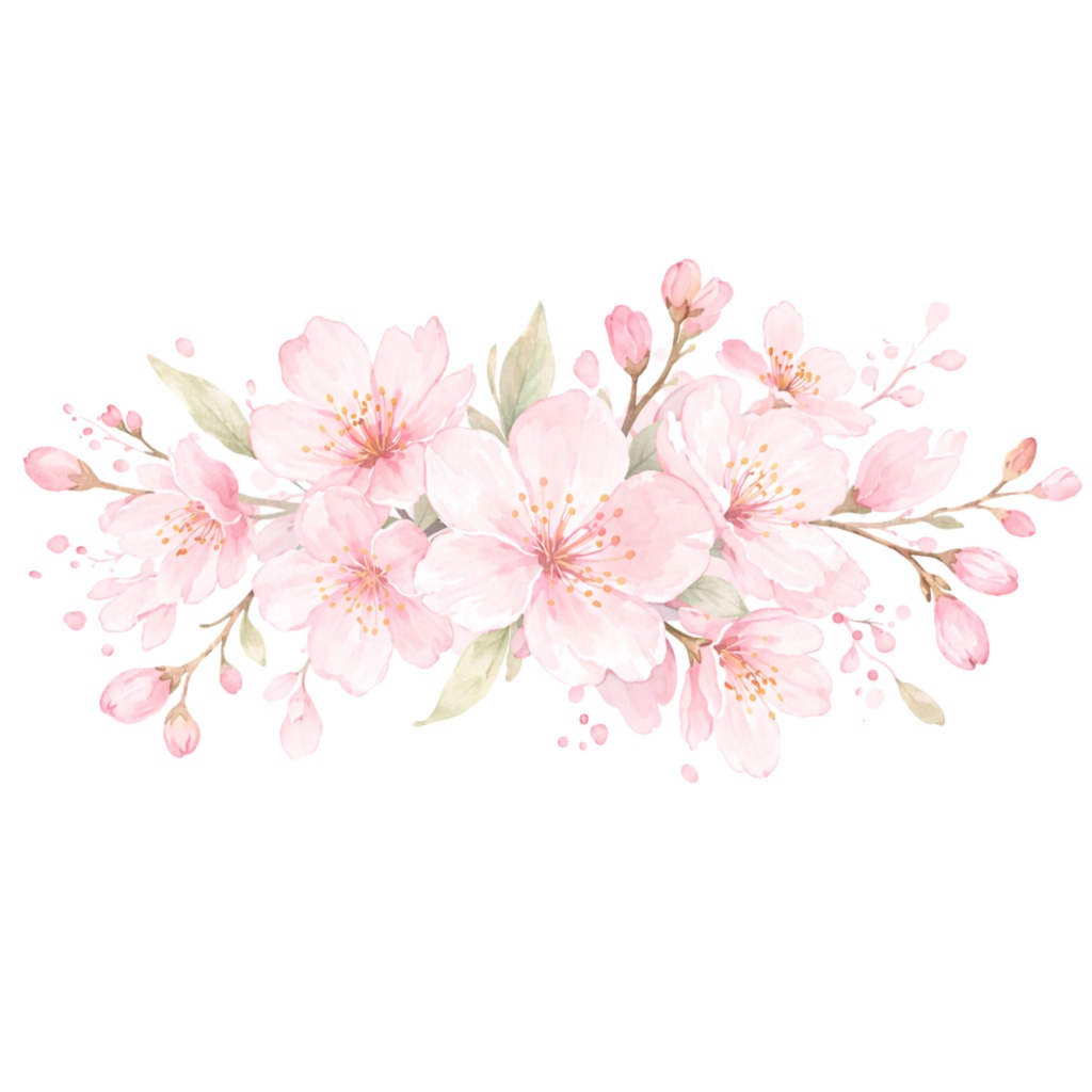 さくら水彩クリップアート素材|春の和スイーツ&桜イラスト|PNG20点|3000px|Canvaテンプレート Sakura Watercolor Clip Art Set | Cherry Blossom & Spring Sweets | 20 PNG | 3000px | Canva Template