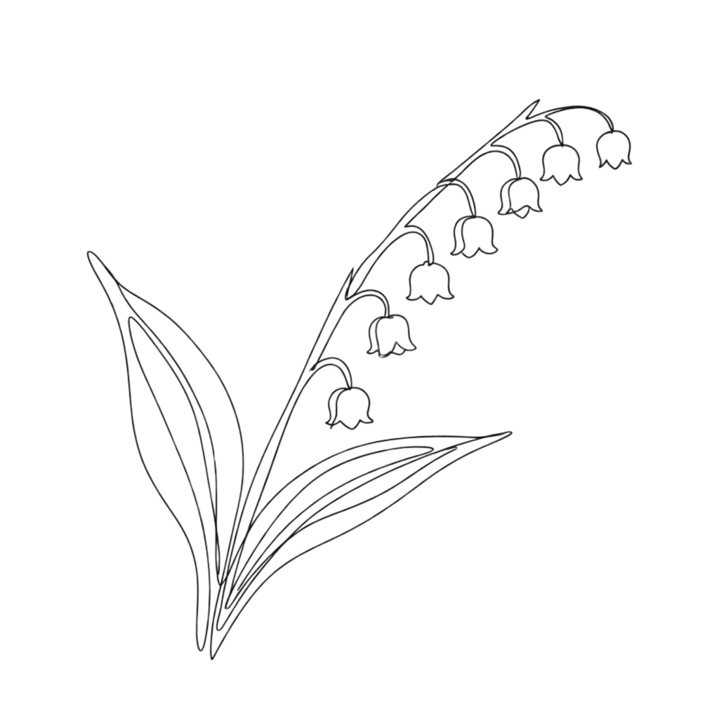 ボタニカルラインアート素材集|ミニマル・大人っぽい花のクリップアート(透過PNG) Minimal Botanical Line Art Clipart Set | Elegant Floral PNG (Transparent)