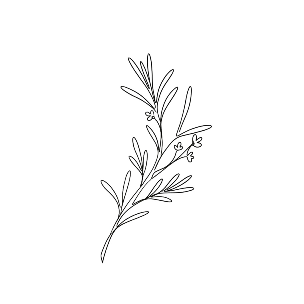 ボタニカルラインアート素材集|ミニマル・大人っぽい花のクリップアート(透過PNG) Minimal Botanical Line Art Clipart Set | Elegant Floral PNG (Transparent)