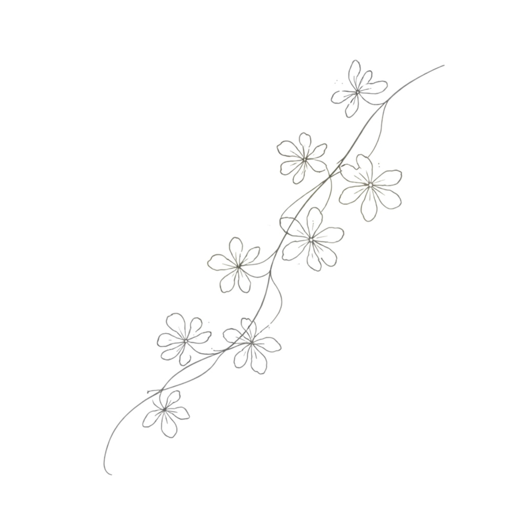 ボタニカルラインアート素材集|ミニマル・大人っぽい花のクリップアート(透過PNG) Minimal Botanical Line Art Clipart Set | Elegant Floral PNG (Transparent)