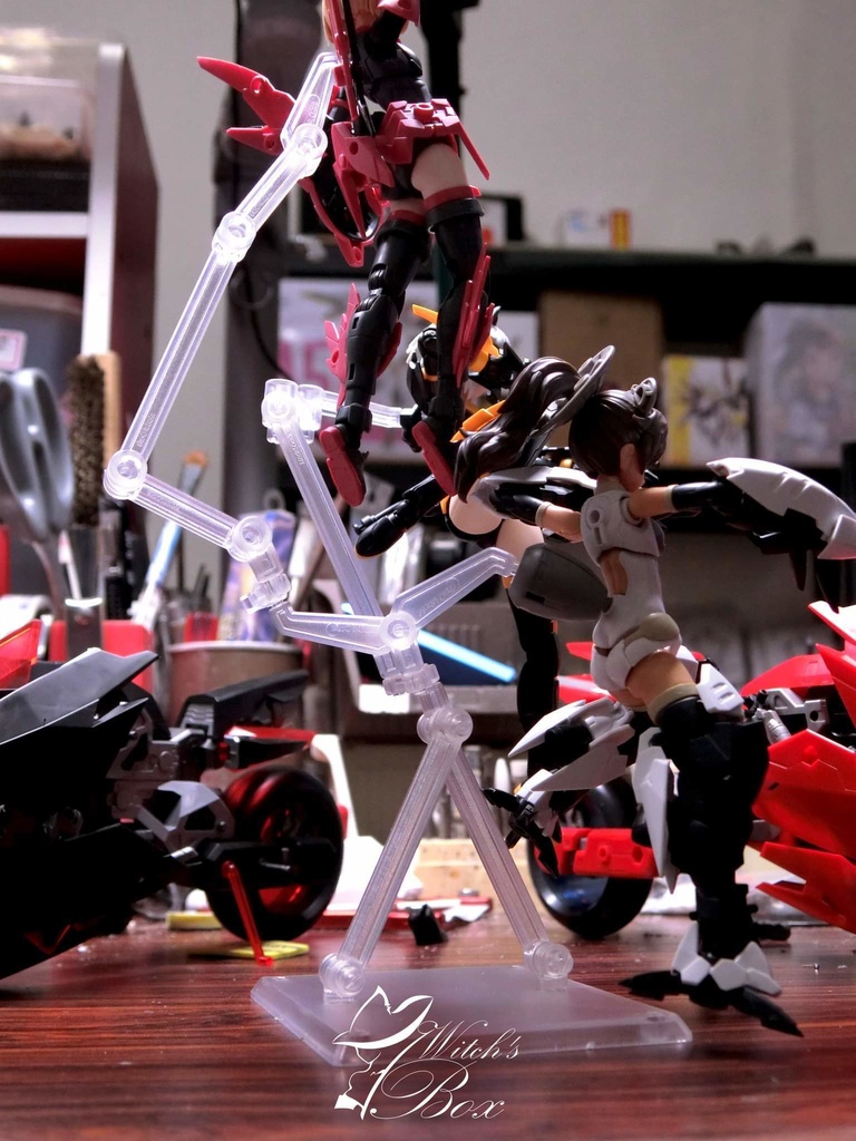 オアシス-系統展示スタンド