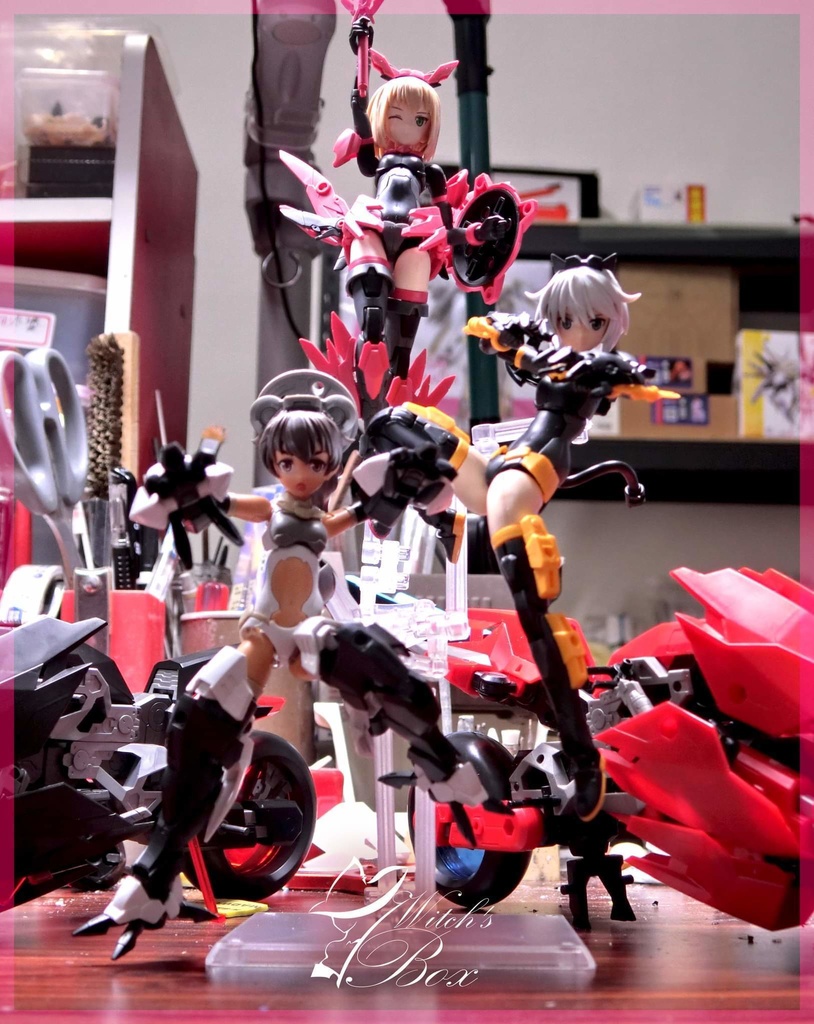 オアシス-系統展示スタンド