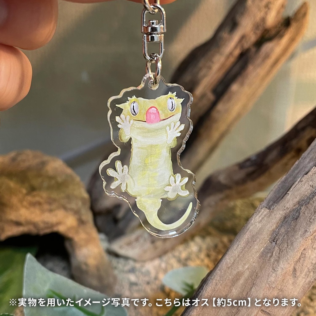 貼りつきクレステッドゲッコー アクリルキーホルダー